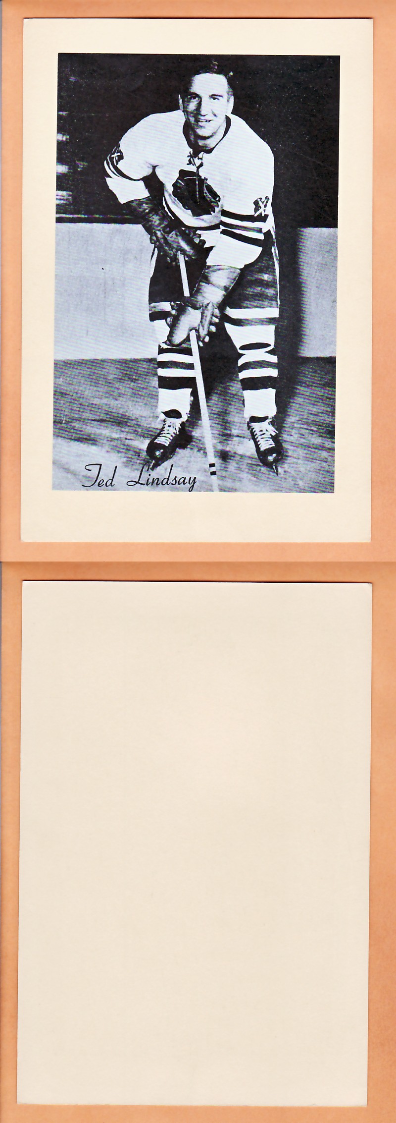 1945-64 BEEHIVE PHOTO GR.2 T.LINDSAY photo 1945-64 BEEHIVE PHOTO GR.2 T.LINDSAY photo