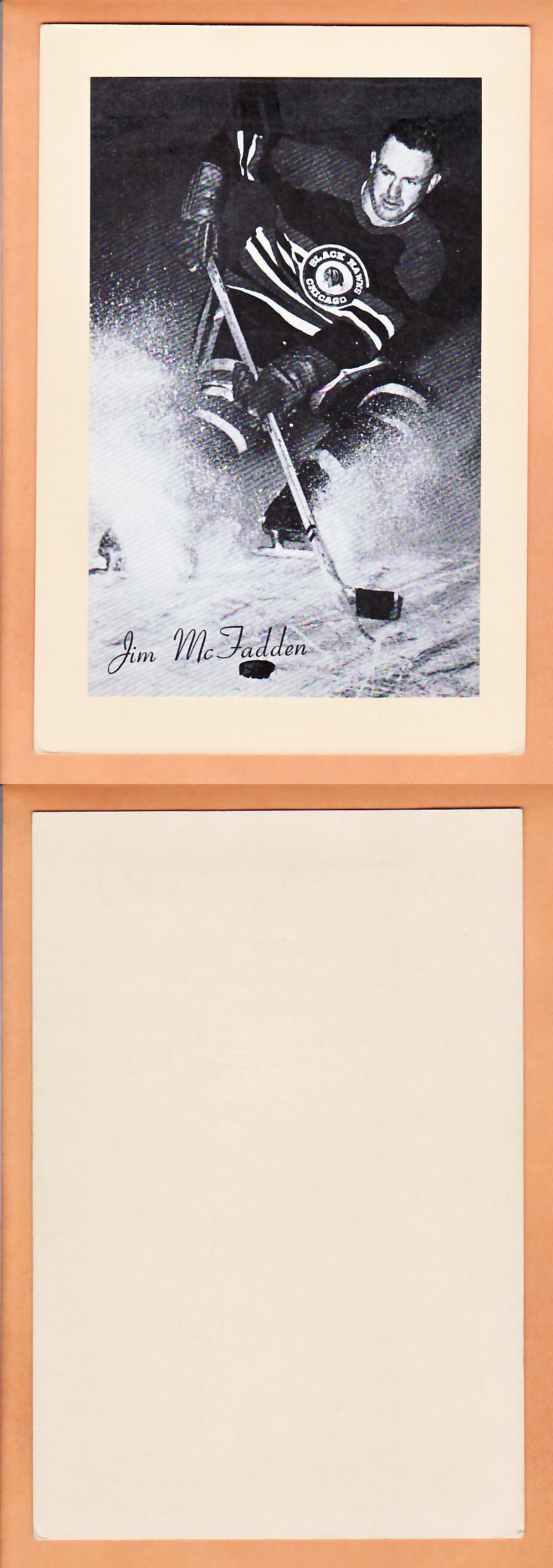 1945-64 BEEHIVE PHOTO GR.2 J.MCFADDEN photo 1945-64 BEEHIVE PHOTO GR.2 J.MCFADDEN photo
