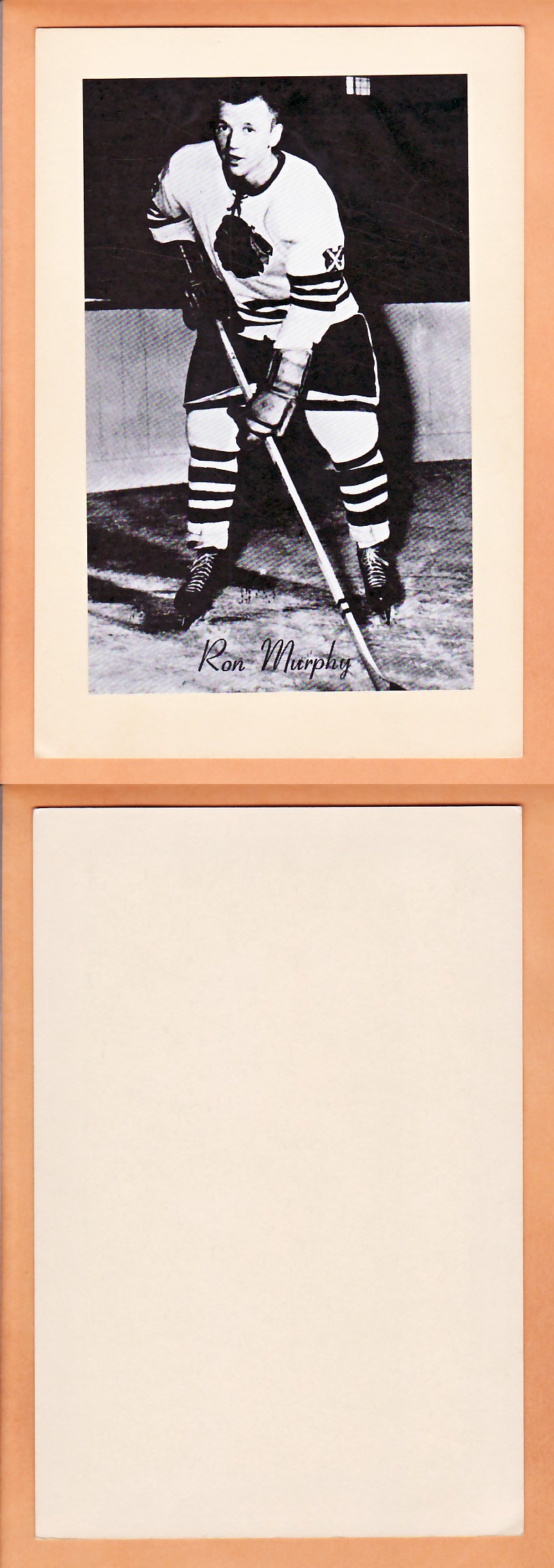 1945-64 BEEHIVE PHOTO GR.2 R.MURPHY photo 1945-64 BEEHIVE PHOTO GR.2 R.MURPHY photo