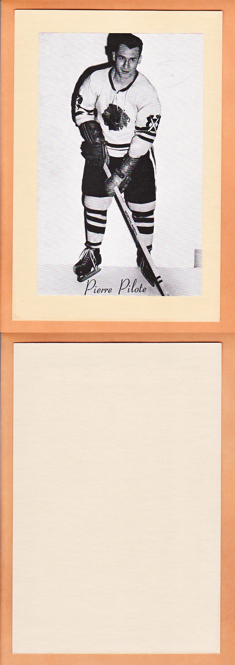 1945-64 BEEHIVE PHOTO GR.2 P.PILOTE photo 1945-64 BEEHIVE PHOTO GR.2 P.PILOTE photo