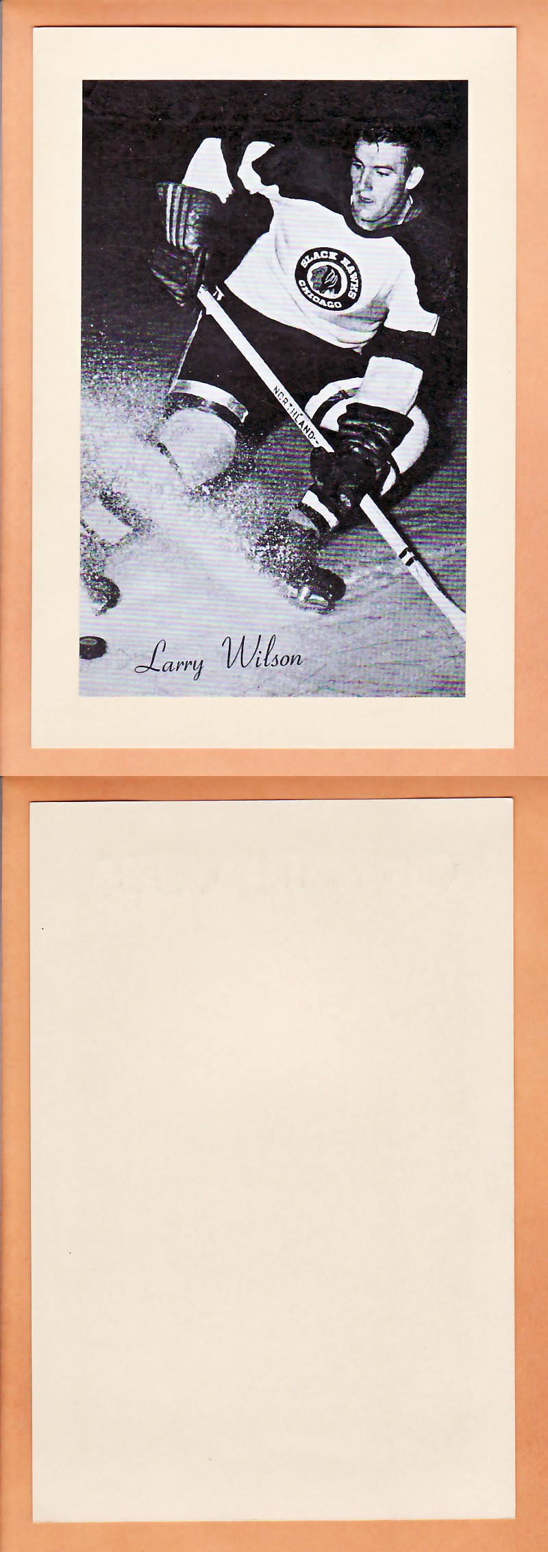 1945-64 BEEHIVE PHOTO GR.2 L.WILSON photo 1945-64 BEEHIVE PHOTO GR.2 L.WILSON photo