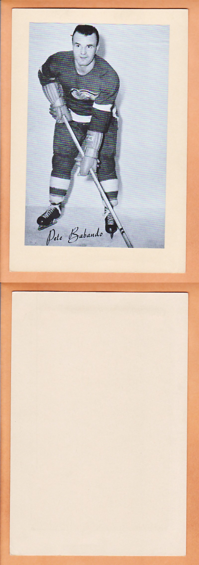 1945-64 BEEHIVE PHOTO GR.2 P.BABANDO photo 1945-64 BEEHIVE PHOTO GR.2 P.BABANDO photo