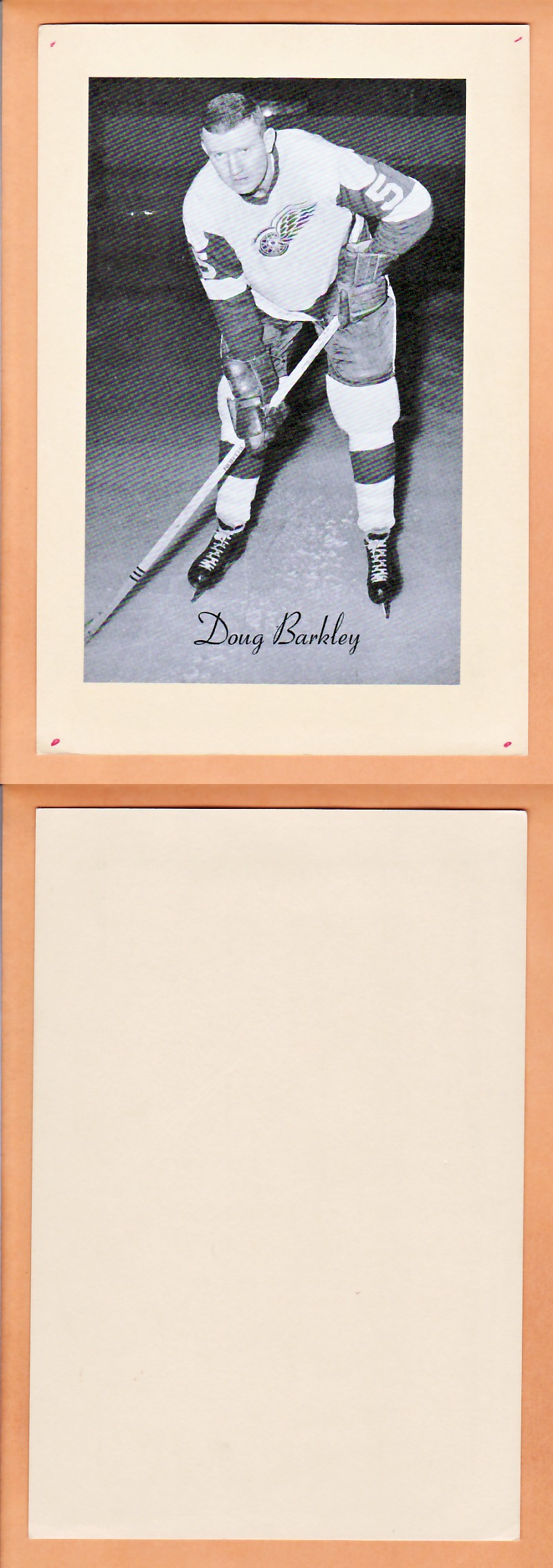 1945-64 BEEHIVE PHOTO GR.2 D.BARKLEY photo 1945-64 BEEHIVE PHOTO GR.2 D.BARKLEY photo