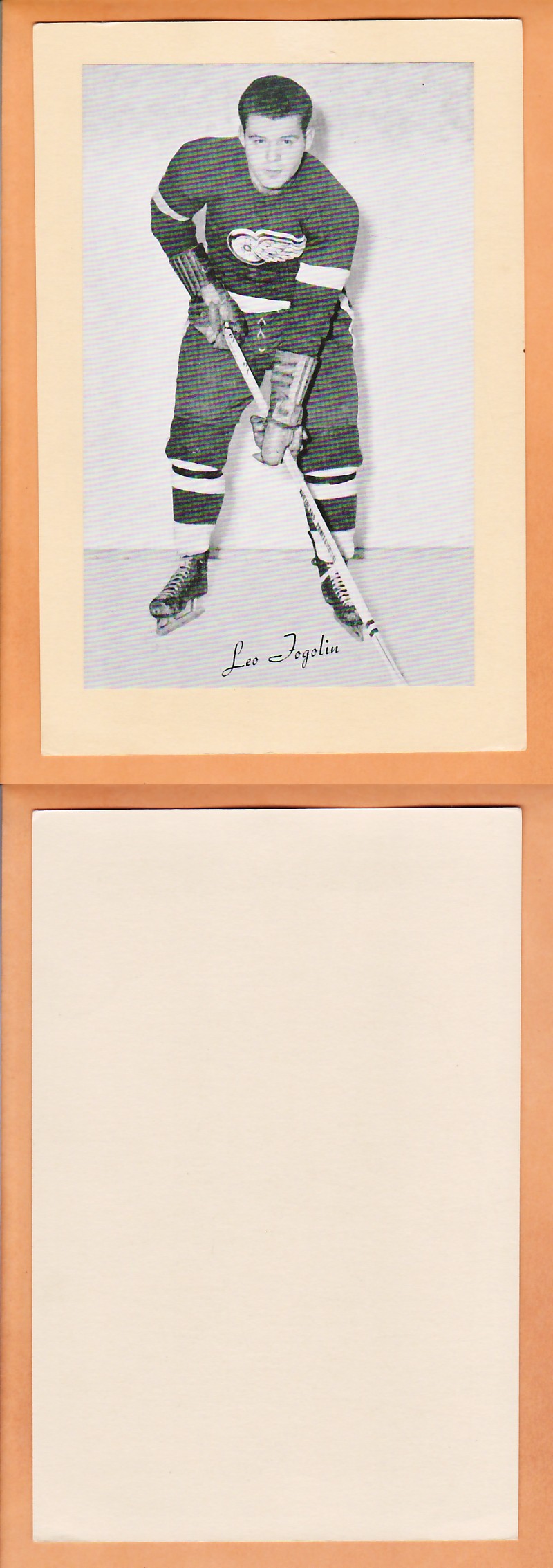 1945-64 BEEHIVE PHOTO GR.2 L.FOGOLIN photo 1945-64 BEEHIVE PHOTO GR.2 L.FOGOLIN photo