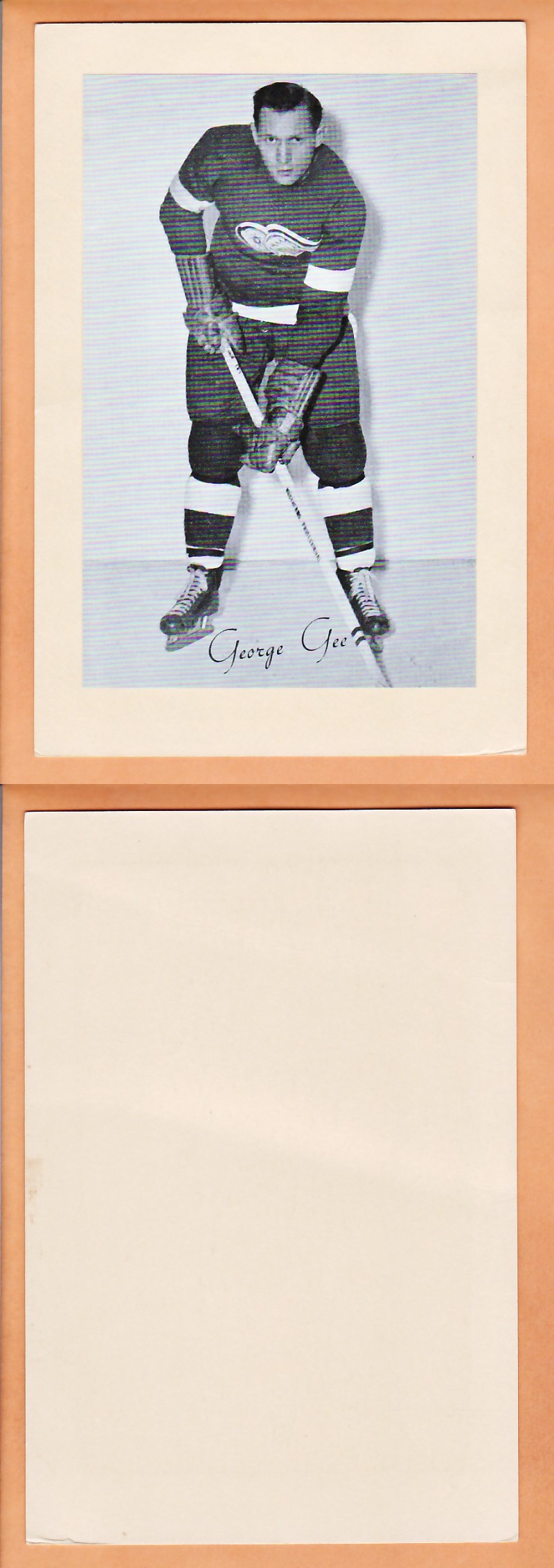 1945-64 BEEHIVE PHOTO GR.2 G.GEE photo 1945-64 BEEHIVE PHOTO GR.2 G.GEE photo
