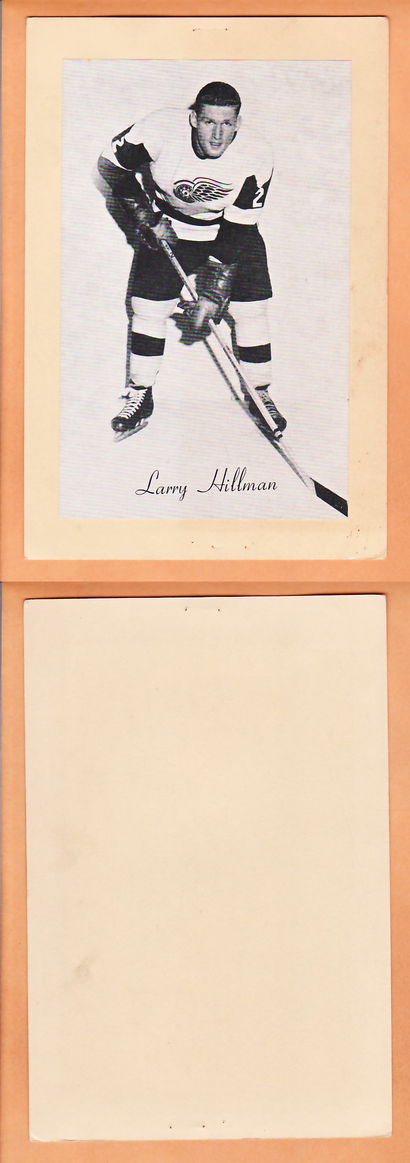 1945-64 BEEHIVE PHOTO GR.2 L.HILLMAN photo 1945-64 BEEHIVE PHOTO GR.2 L.HILLMAN photo