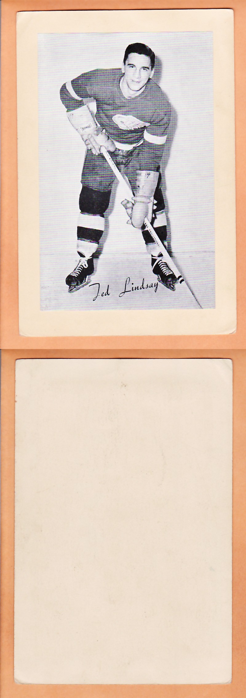 1945-64 BEEHIVE PHOTO GR.2 T.LINDSAY photo 1945-64 BEEHIVE PHOTO GR.2 T.LINDSAY photo