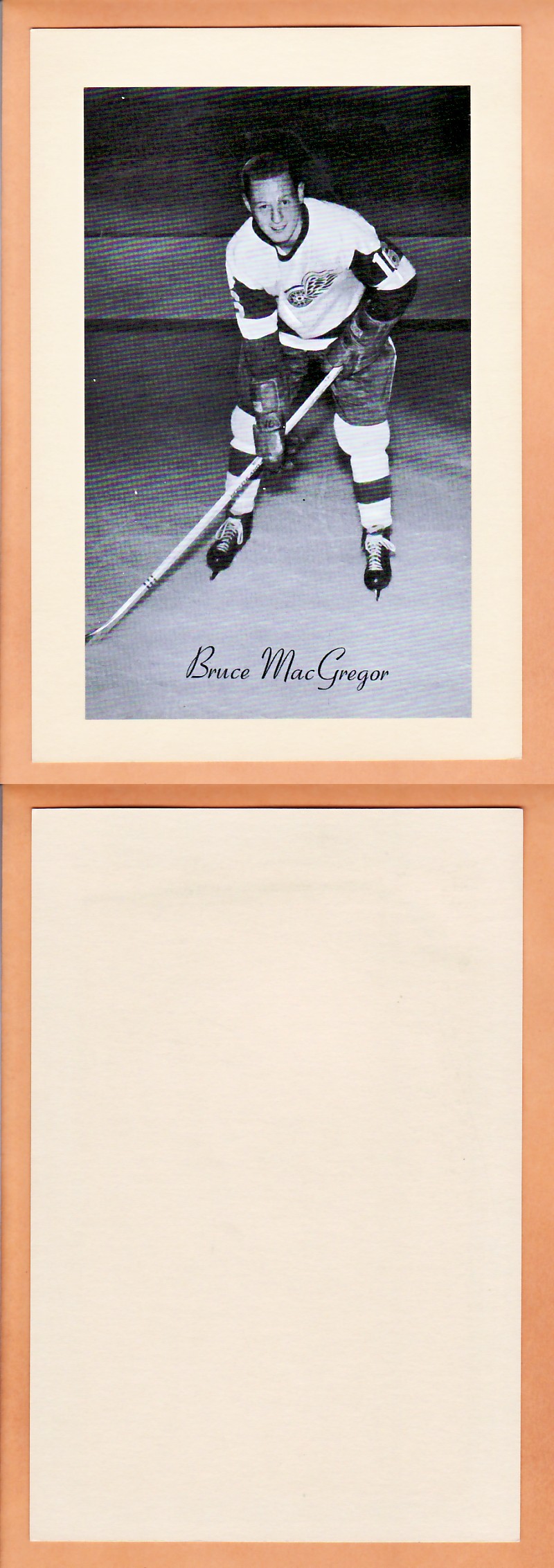 1945-64 BEEHIVE PHOTO GR.2 B.MCGREGOR photo 1945-64 BEEHIVE PHOTO GR.2 B.MCGREGOR photo