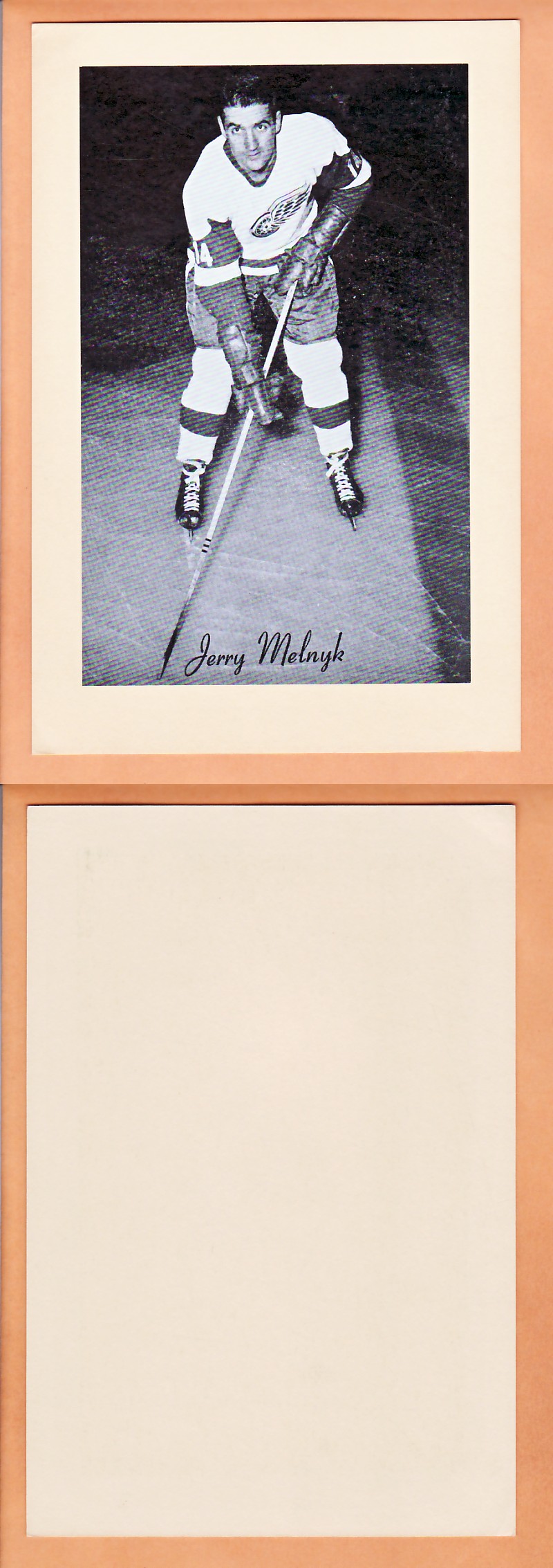 1945-64 BEEHIVE PHOTO GR.2 J.MELNYK photo 1945-64 BEEHIVE PHOTO GR.2 J.MELNYK photo