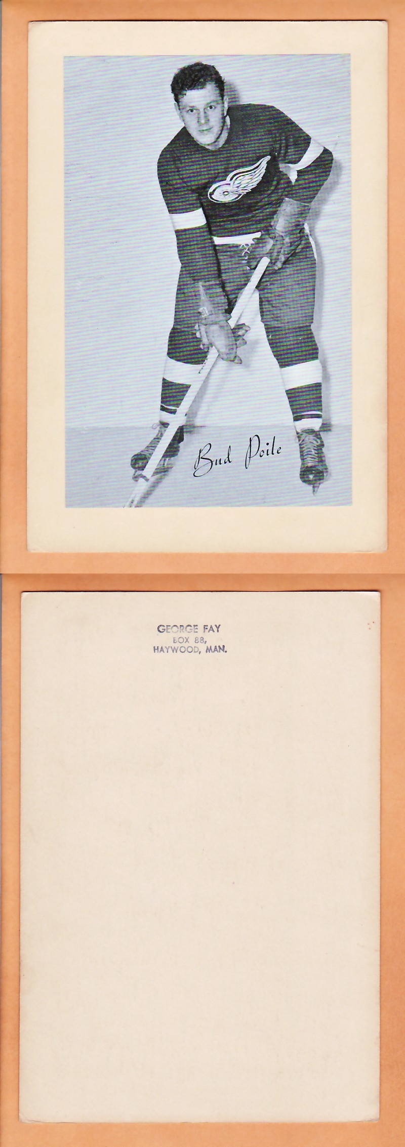 1945-64 BEEHIVE PHOTO GR.2 B.POILE *SP* photo 1945-64 BEEHIVE PHOTO GR.2 B.POILE *SP* photo