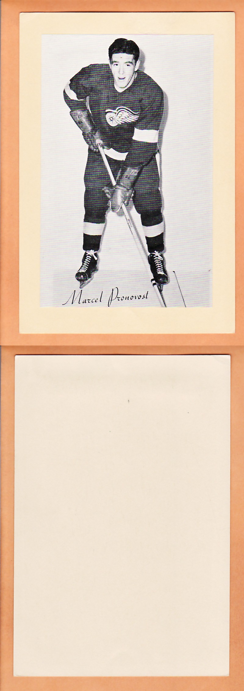 1945-64 BEEHIVE PHOTO GR.2 M.PRONOVOST photo 1945-64 BEEHIVE PHOTO GR.2 M.PRONOVOST photo