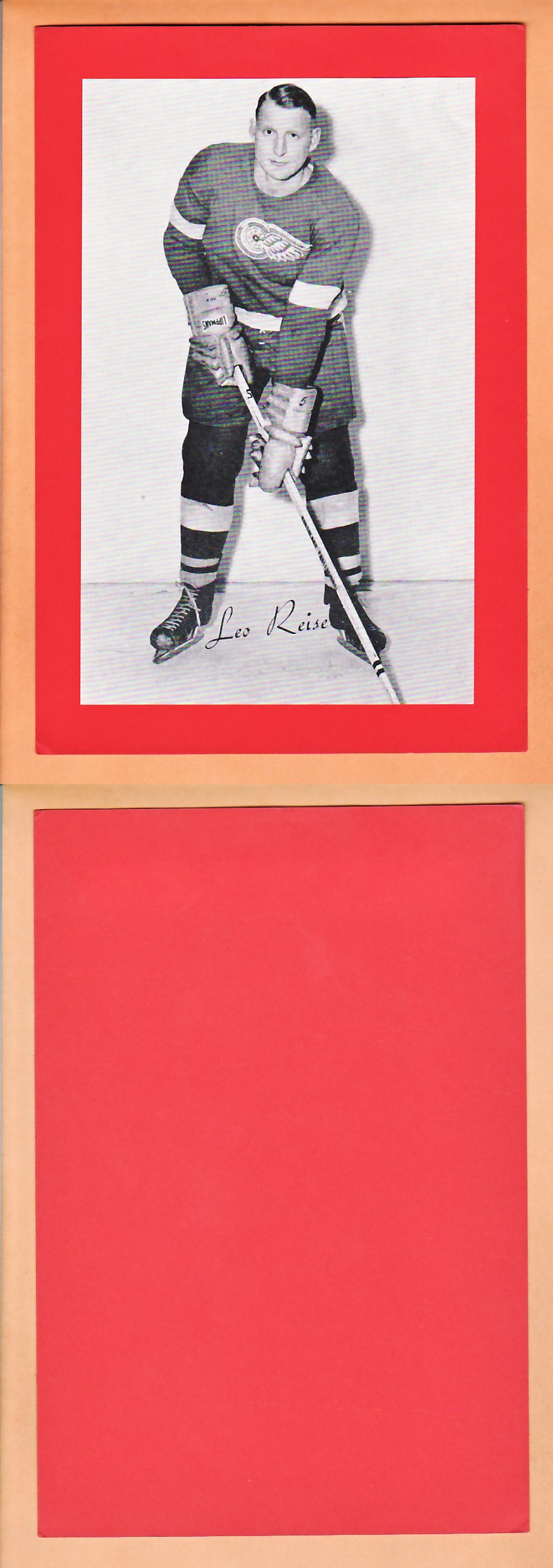1945-64 BEEHIVE PHOTO GR.2 L.REISE photo 1945-64 BEEHIVE PHOTO GR.2 L.REISE photo