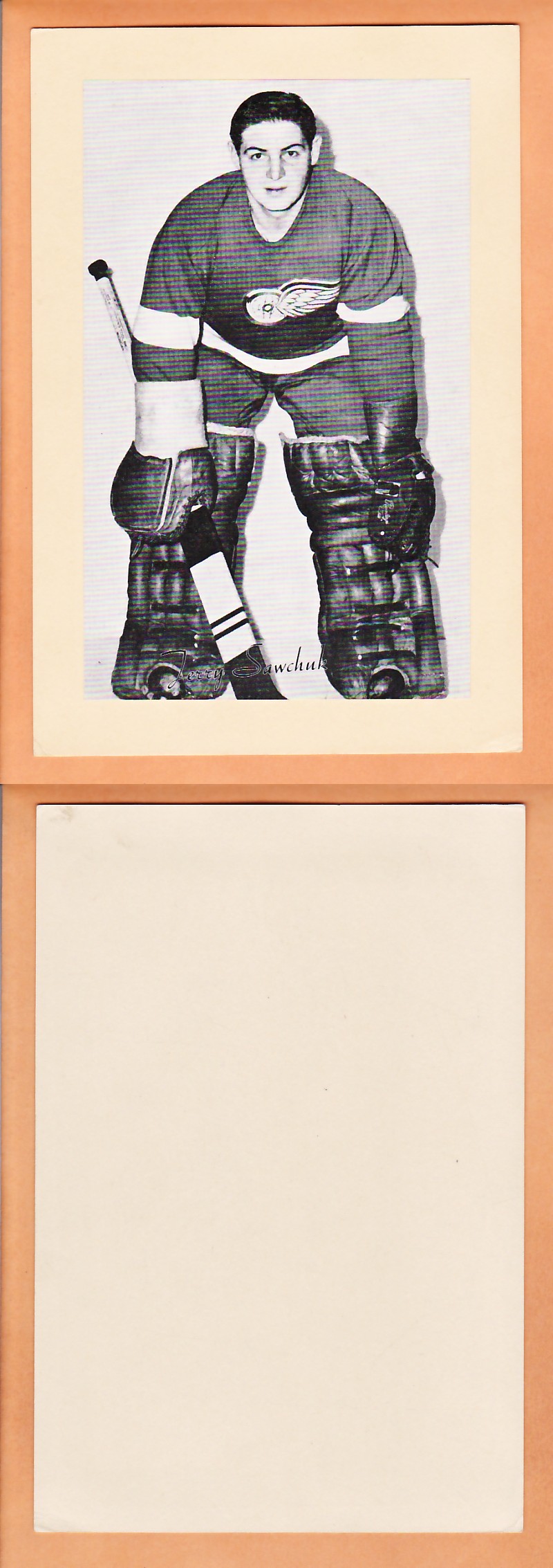 1945-64 BEEHIVE PHOTO GR.2 T.SAWCHUK V.1 photo 1945-64 BEEHIVE PHOTO GR.2 T.SAWCHUK V.1 photo