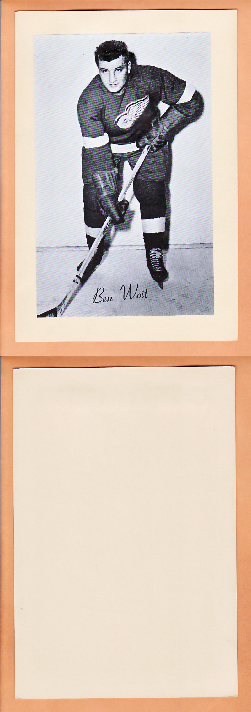 1945-64 BEEHIVE PHOTO GR.2 B.WOIT photo 1945-64 BEEHIVE PHOTO GR.2 B.WOIT photo