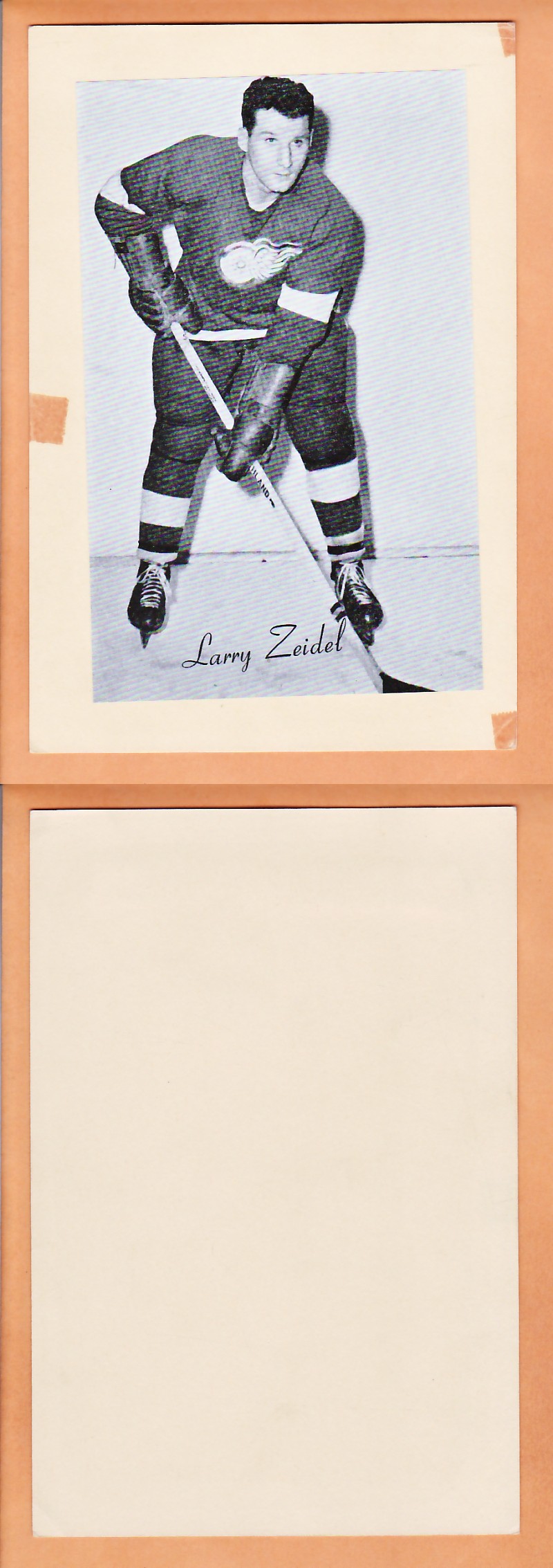 1945-64 BEEHIVE PHOTO GR.2 L.ZEIDEL photo 1945-64 BEEHIVE PHOTO GR.2 L.ZEIDEL photo