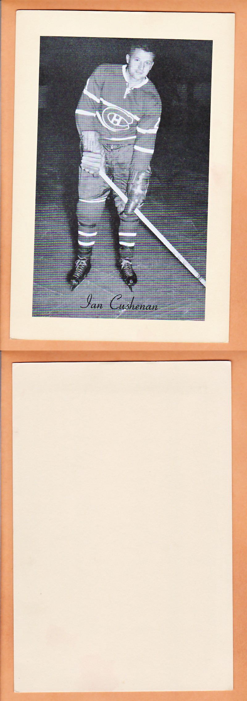1945-64 BEEHIVE PHOTO GR.2 I.CUSHENAN photo 1945-64 BEEHIVE PHOTO GR.2 I.CUSHENAN photo