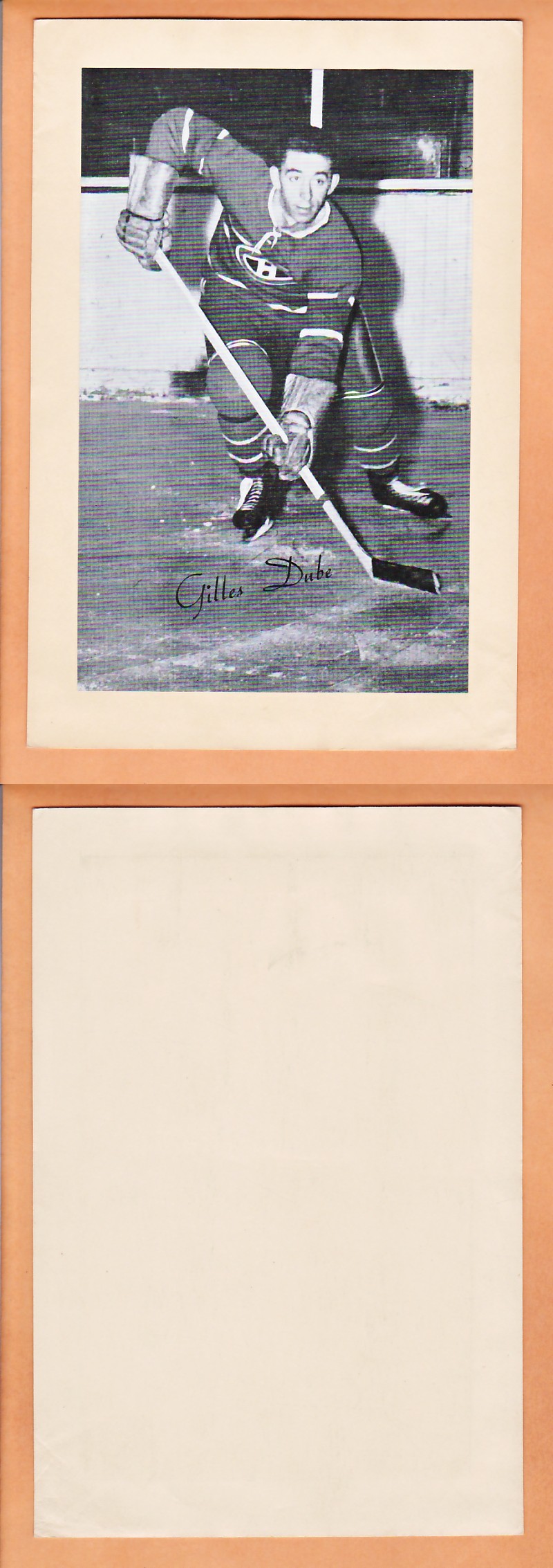 1945-64 BEEHIVE PHOTO GR.2 G.DUBE photo 1945-64 BEEHIVE PHOTO GR.2 G.DUBE photo