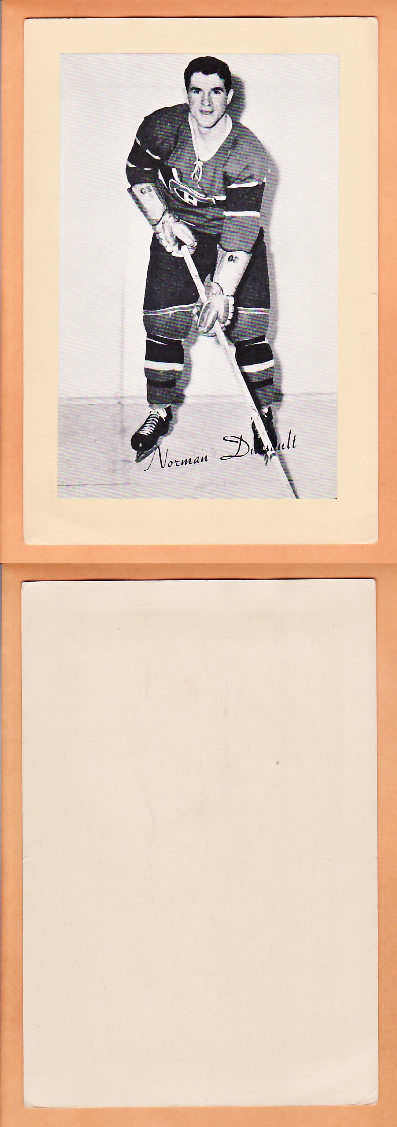 1945-64 BEEHIVE PHOTO GR.2 N.DUSSAULT photo 1945-64 BEEHIVE PHOTO GR.2 N.DUSSAULT photo