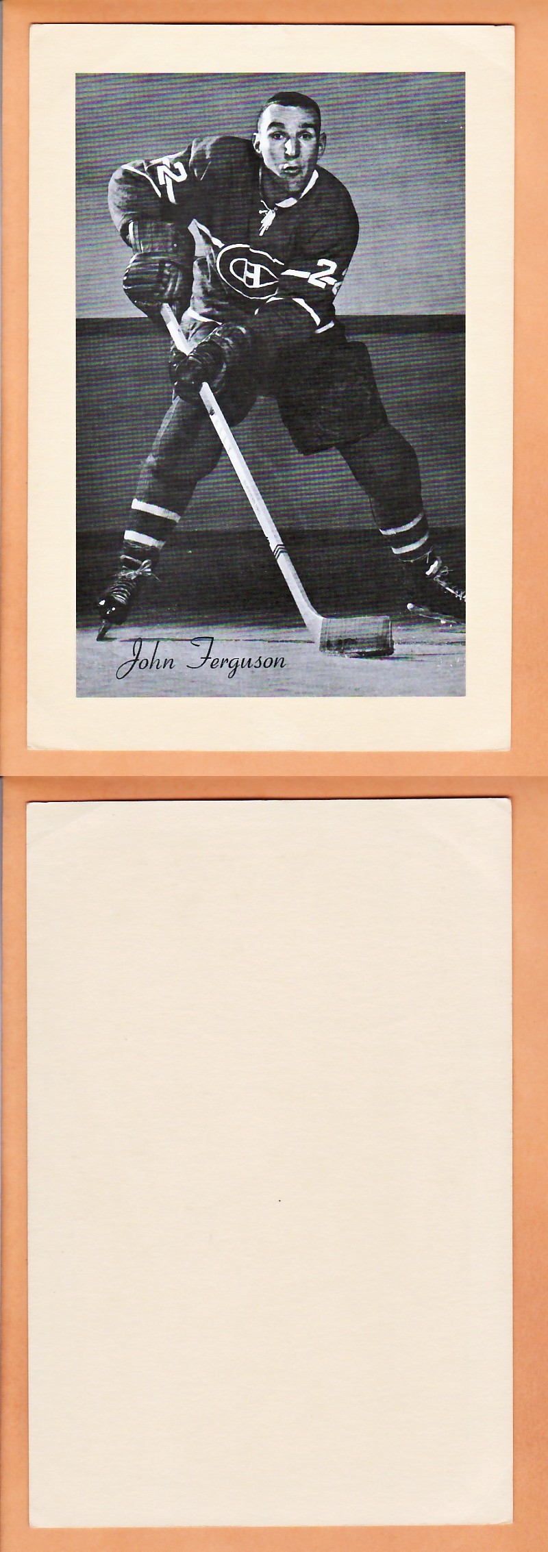 1945-64 BEEHIVE PHOTO GR.2 J.FERGUSON photo 1945-64 BEEHIVE PHOTO GR.2 J.FERGUSON photo