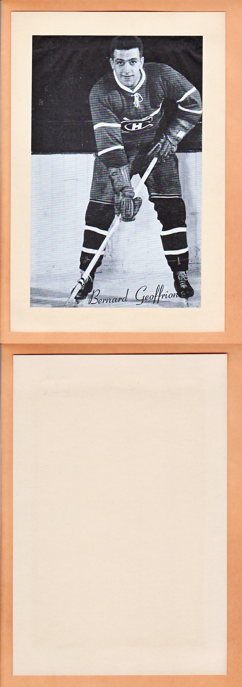1945-64 BEEHIVE PHOTO GR.2 B.GEOFFRION photo 1945-64 BEEHIVE PHOTO GR.2 B.GEOFFRION photo