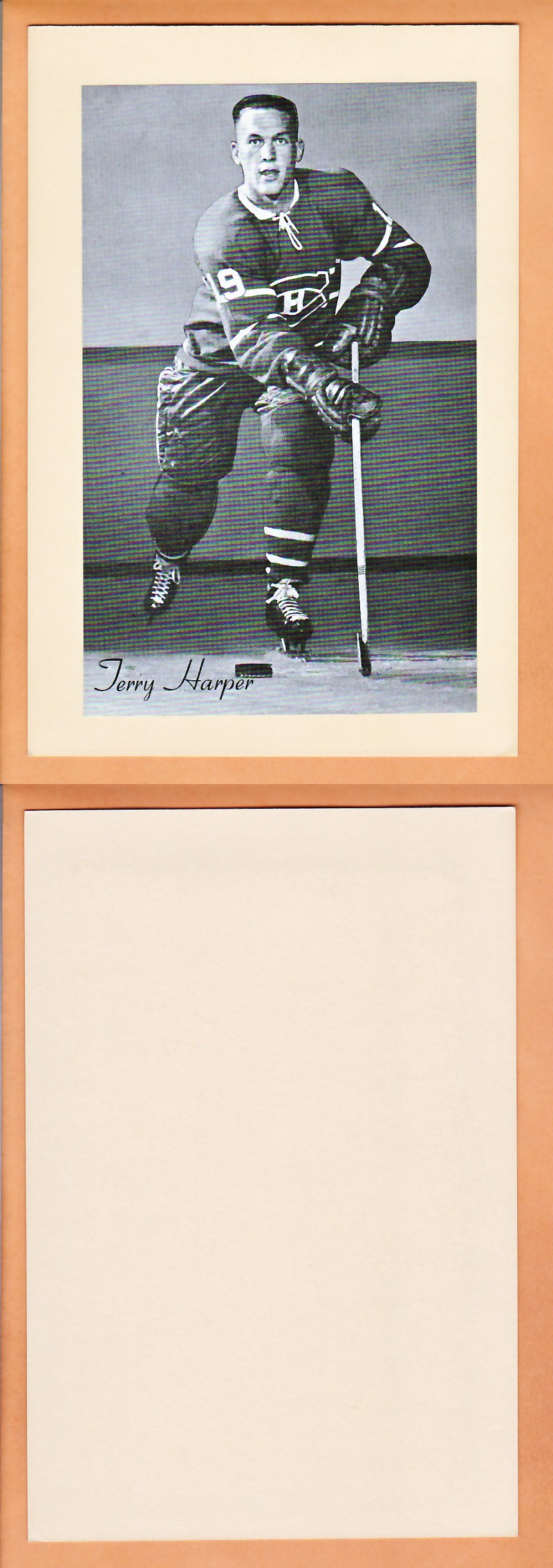 1945-64 BEEHIVE PHOTO GR.2 T.HARPER photo 1945-64 BEEHIVE PHOTO GR.2 T.HARPER photo