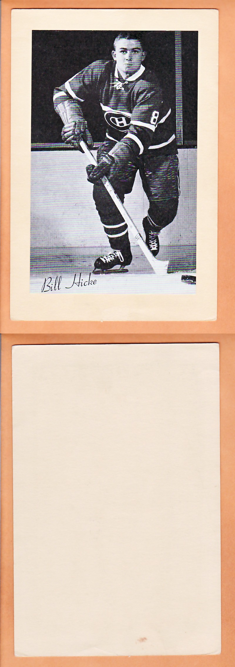 1945-64 BEEHIVE PHOTO GR.2 B.HICKE photo 1945-64 BEEHIVE PHOTO GR.2 B.HICKE photo