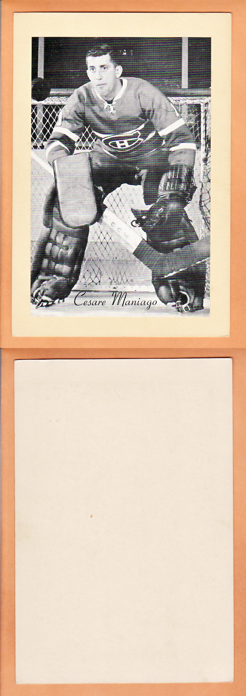 1945-64 BEEHIVE PHOTO GR.2 C.MANIAGO photo 1945-64 BEEHIVE PHOTO GR.2 C.MANIAGO photo