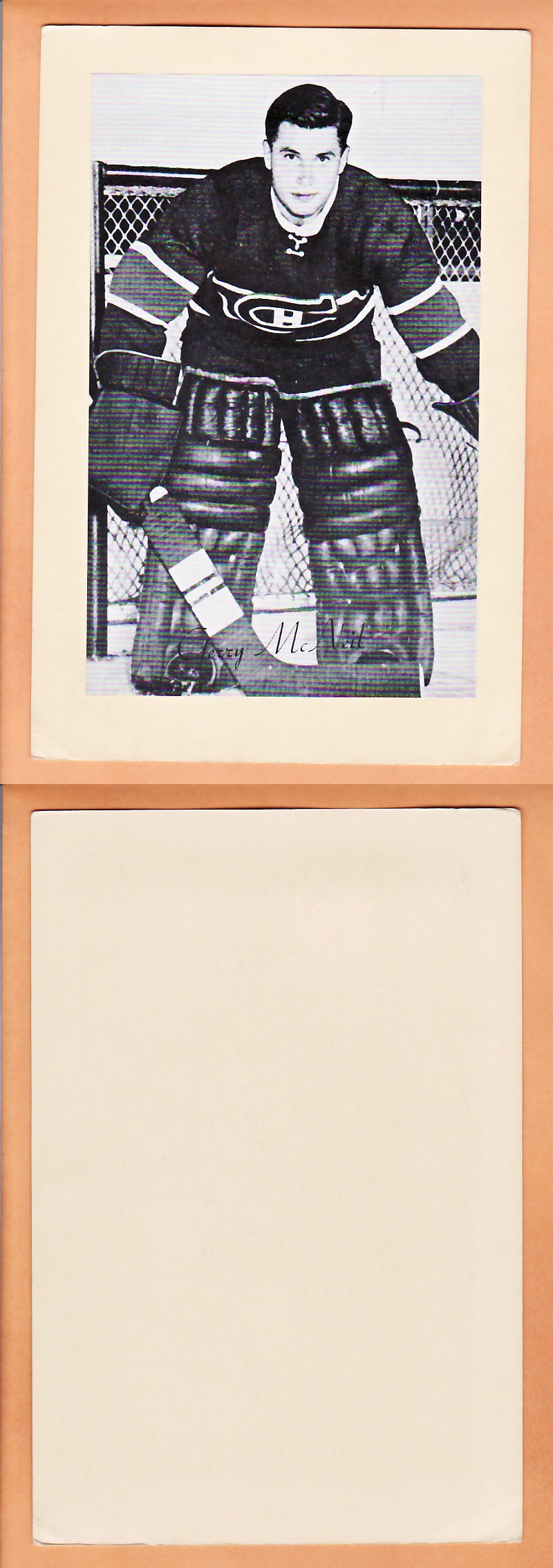1945-64 BEEHIVE PHOTO GR.2 G.MCNEIL photo 1945-64 BEEHIVE PHOTO GR.2 G.MCNEIL photo