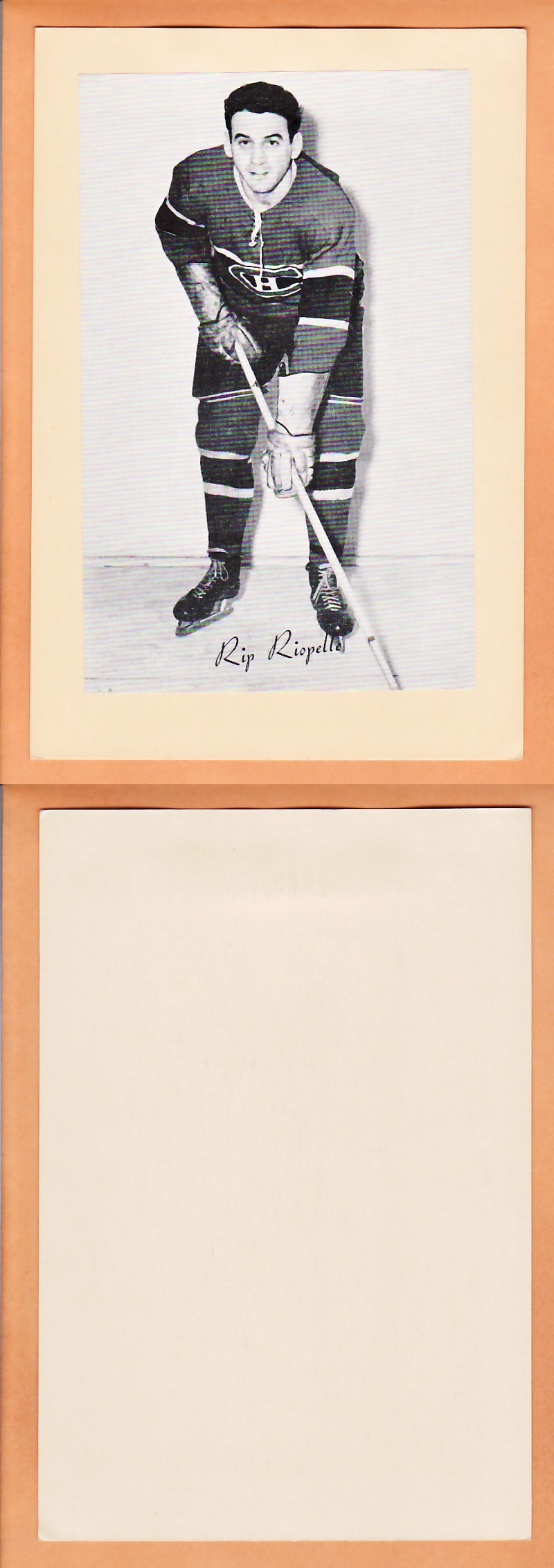 1945-64 BEEHIVE PHOTO GR.2 R.RIOPELLE photo 1945-64 BEEHIVE PHOTO GR.2 R.RIOPELLE photo