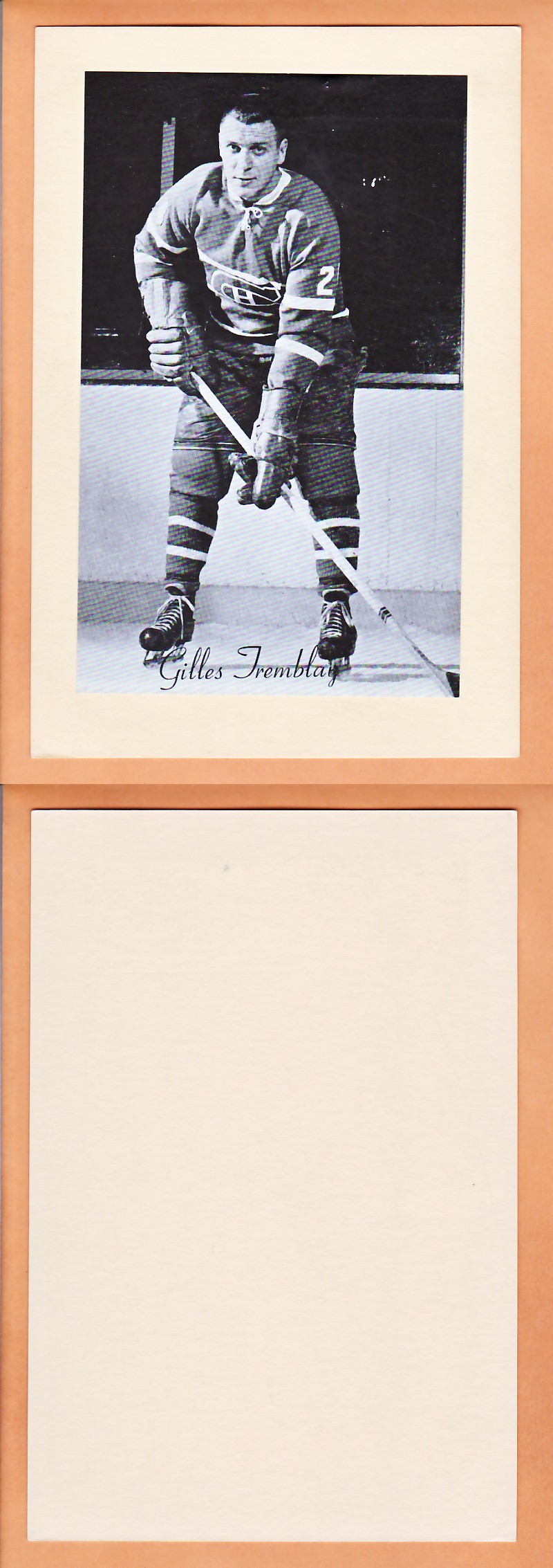 1945-64 BEEHIVE PHOTO GR.2 G.TREMBLAY photo 1945-64 BEEHIVE PHOTO GR.2 G.TREMBLAY photo