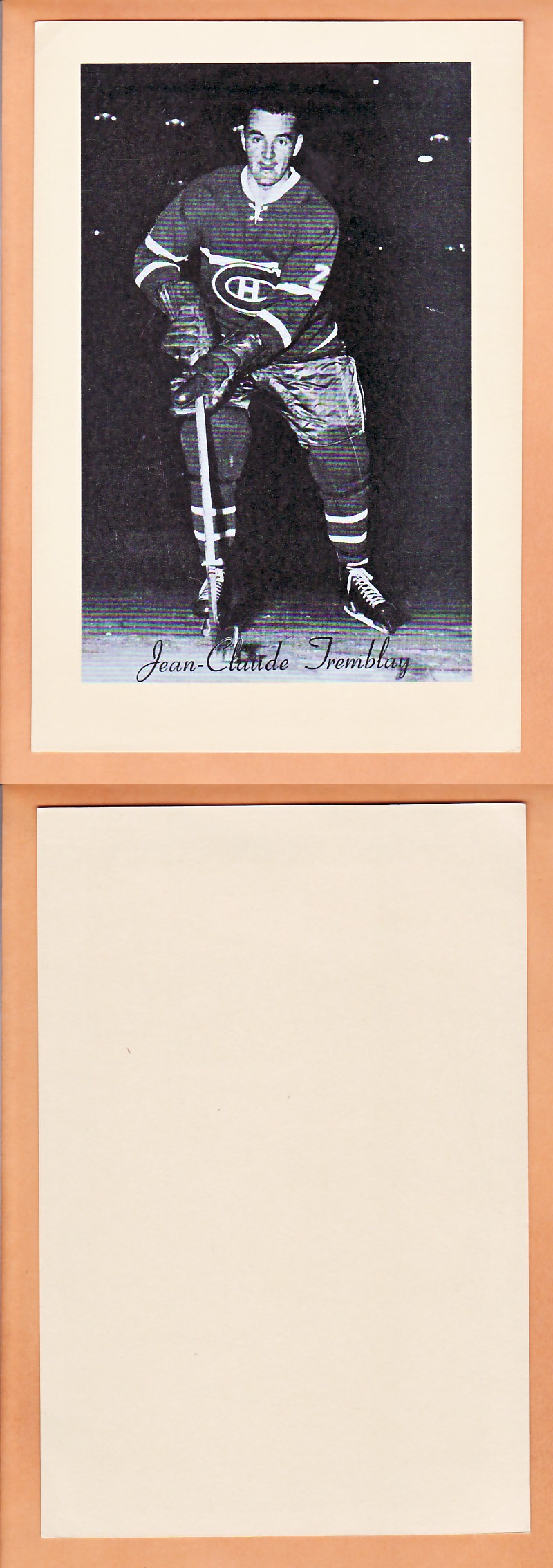 1945-64 BEEHIVE PHOTO GR.2 J.C.TREMBLAY V.1 photo 1945-64 BEEHIVE PHOTO GR.2 J.C.TREMBLAY V.1 photo