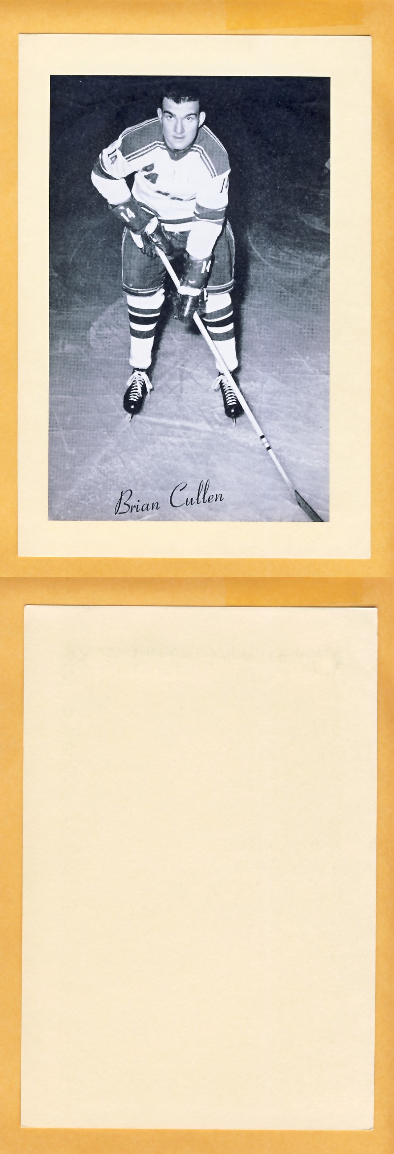 1945-64 BEEHIVE PHOTO GR.2 B.CULLEN photo 1945-64 BEEHIVE PHOTO GR.2 B.CULLEN photo