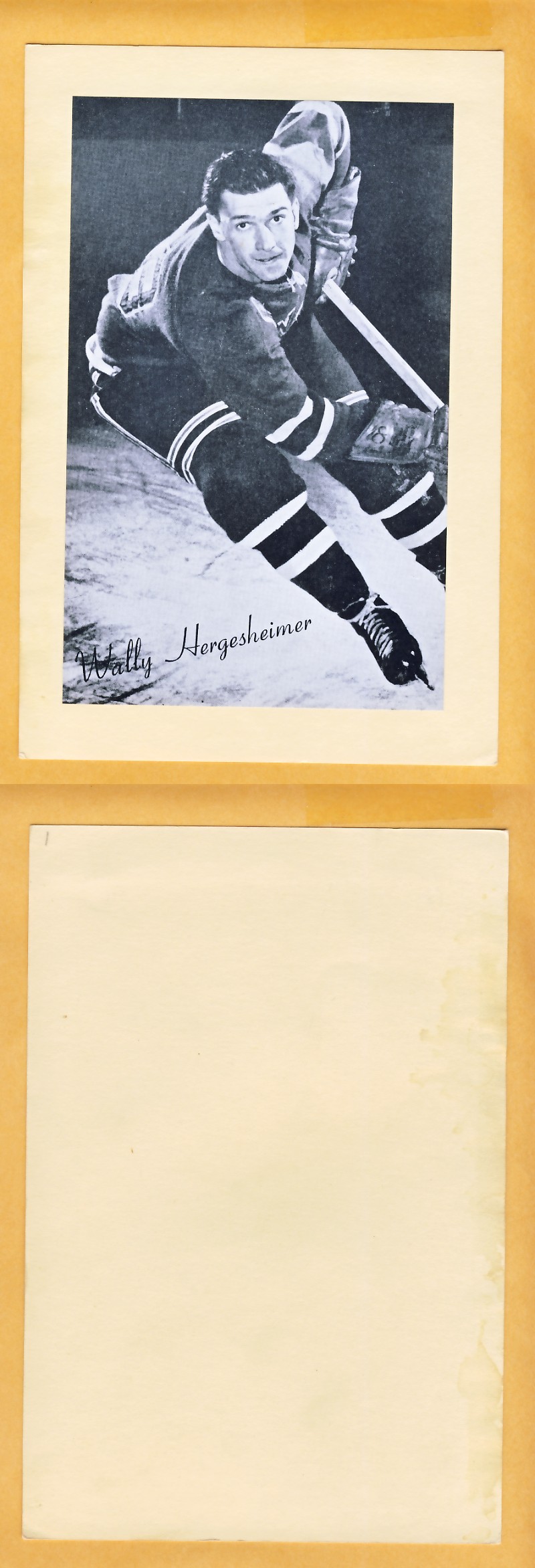 1945-64 BEEHIVE PHOTO GR.2 W.HERGESHEIMER photo 1945-64 BEEHIVE PHOTO GR.2 W.HERGESHEIMER photo