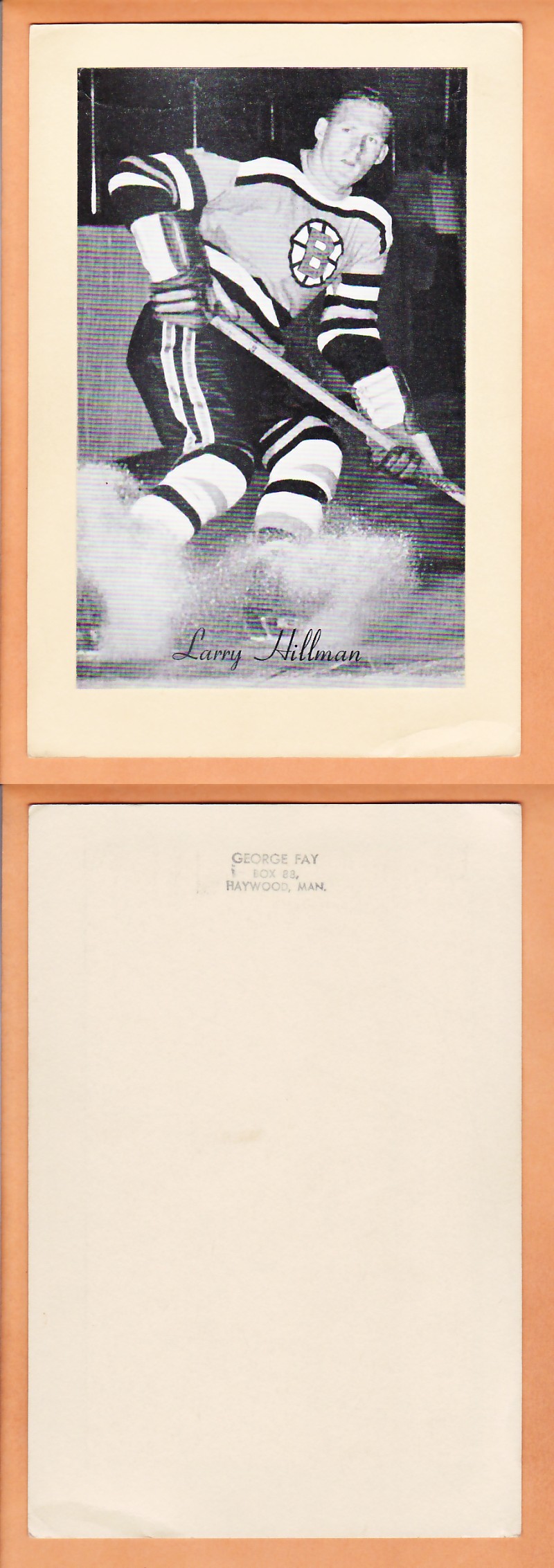 1945-64 BEEHIVE PHOTO GR.2 L.HILLMAN photo 1945-64 BEEHIVE PHOTO GR.2 L.HILLMAN photo