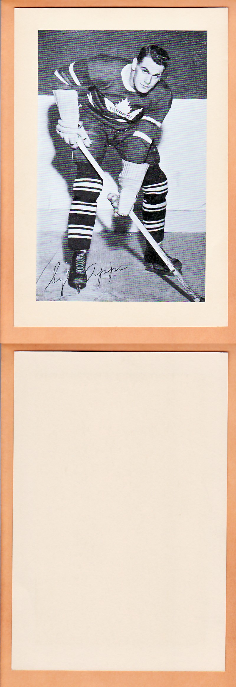 1945-64 BEEHIVE PHOTO GR.2 S.APPS *SP* photo 1945-64 BEEHIVE PHOTO GR.2 S.APPS *SP* photo