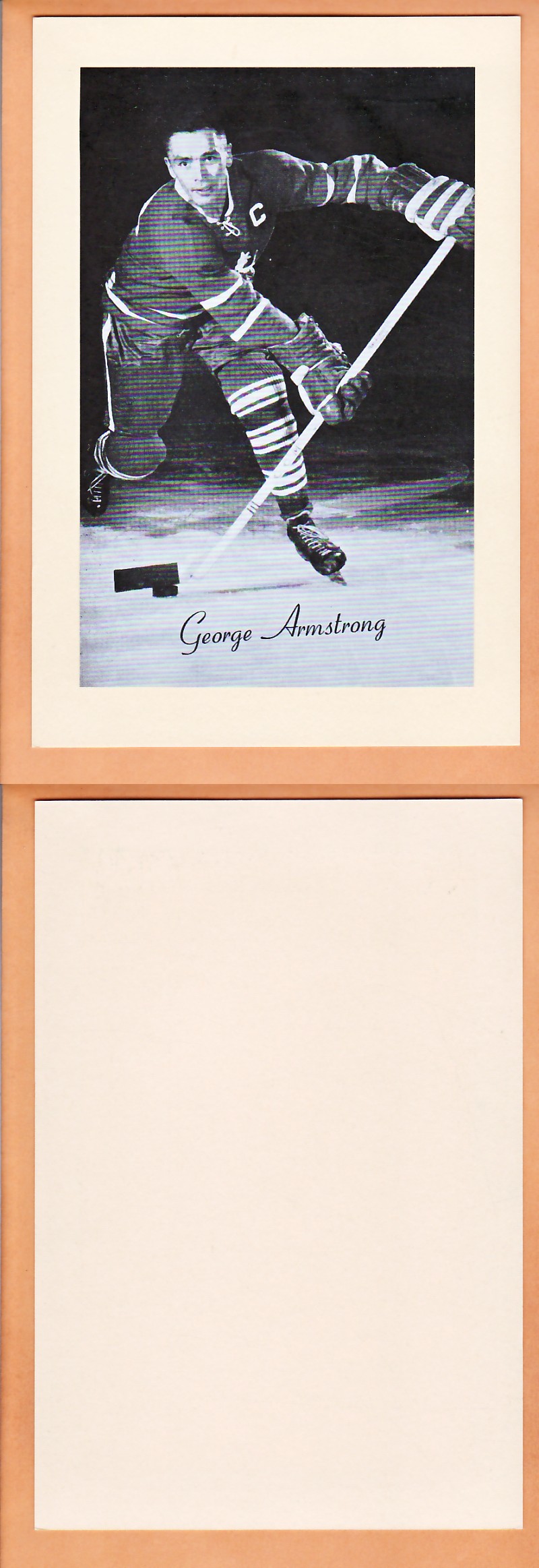 1945-64 BEEHIVE PHOTO GR.2 G.ARMSTRONG V.1 photo 1945-64 BEEHIVE PHOTO GR.2 G.ARMSTRONG V.1 photo