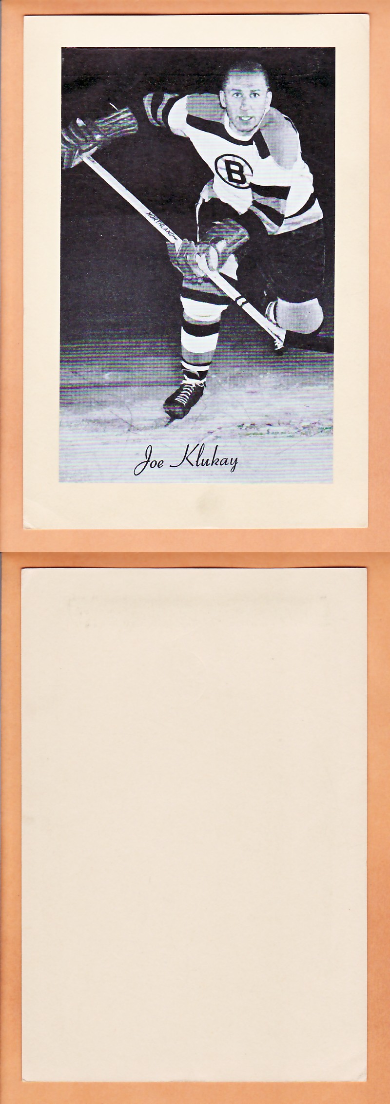 1945-64 BEEHIVE PHOTO GR.2 J.KLUKAY *SP* photo 1945-64 BEEHIVE PHOTO GR.2 J.KLUKAY *SP* photo