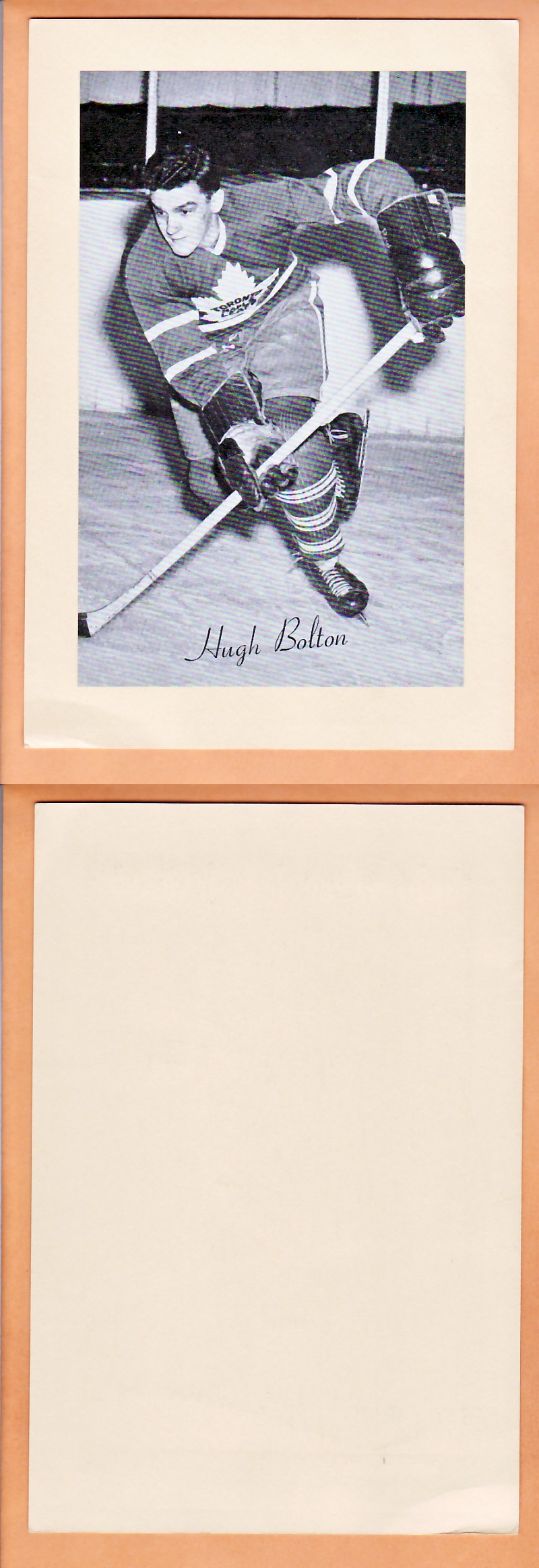 1945-64 BEEHIVE PHOTO GR.2 H.BOLTON photo 1945-64 BEEHIVE PHOTO GR.2 H.BOLTON photo