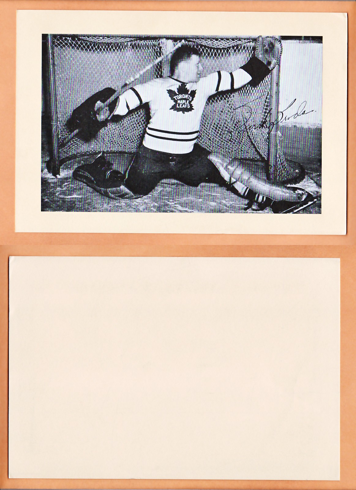 1945-64 BEEHIVE PHOTO GR.2 T.BRODA photo 1945-64 BEEHIVE PHOTO GR.2 T.BRODA photo