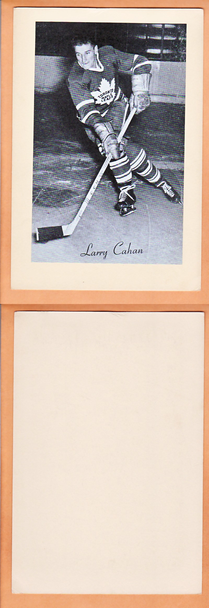 1945-64 BEEHIVE PHOTO GR.2 L.CAHAN photo 1945-64 BEEHIVE PHOTO GR.2 L.CAHAN photo