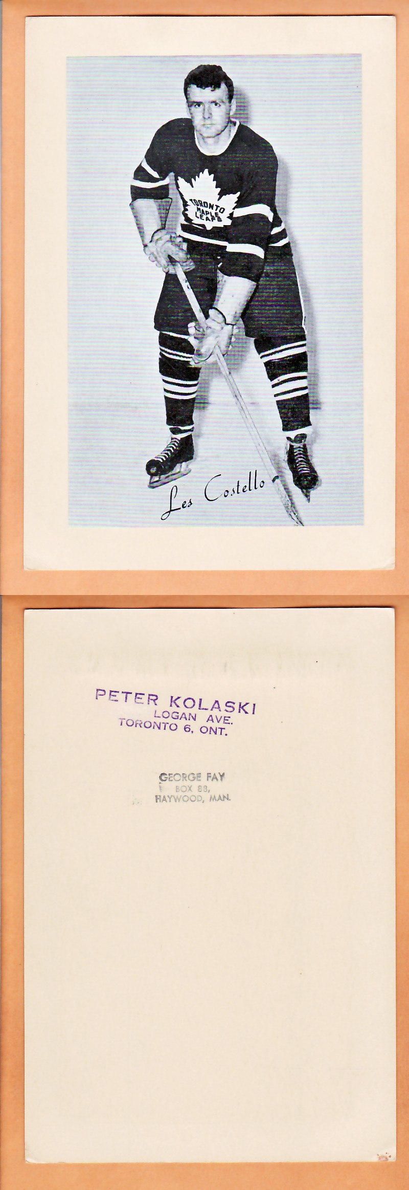 1945-64 BEEHIVE PHOTO GR.2 L.COSTELLO *SP* photo 1945-64 BEEHIVE PHOTO GR.2 L.COSTELLO *SP* photo