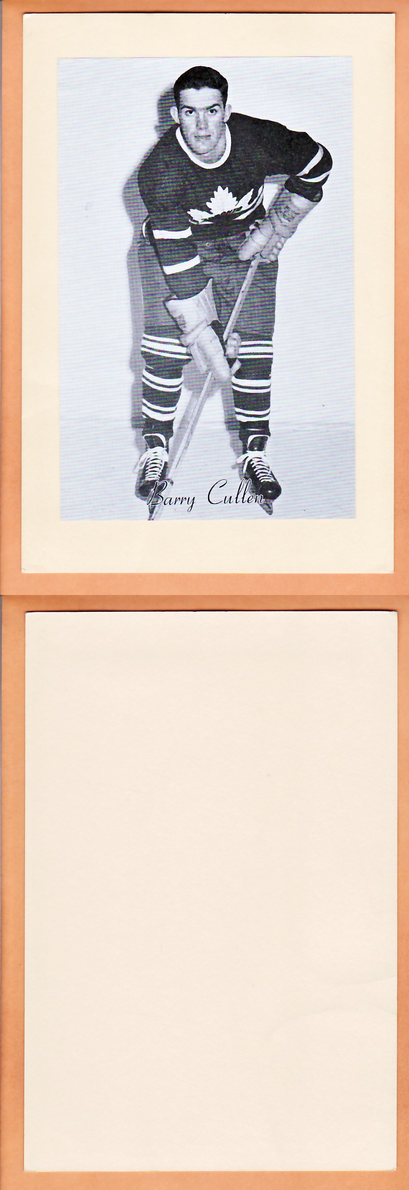1945-64 BEEHIVE PHOTO GR.2 B.CULLEN photo 1945-64 BEEHIVE PHOTO GR.2 B.CULLEN photo