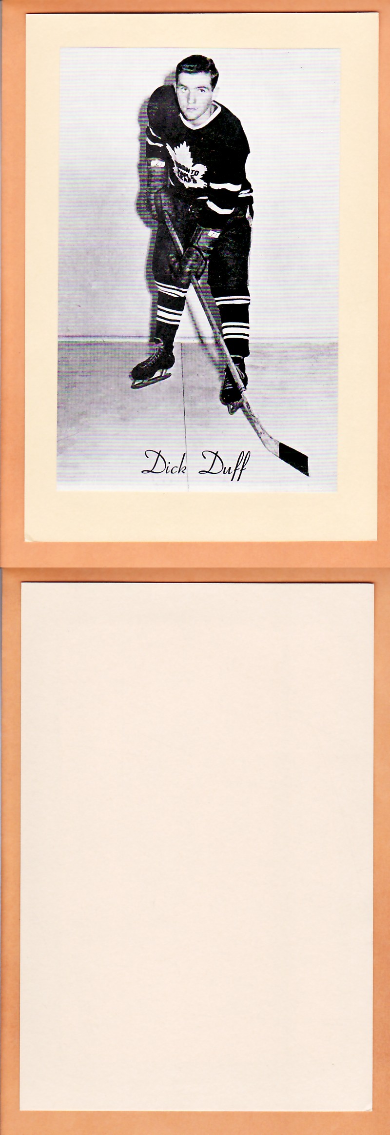 1945-64 BEEHIVE PHOTO GR.2 D.DUFF photo 1945-64 BEEHIVE PHOTO GR.2 D.DUFF photo