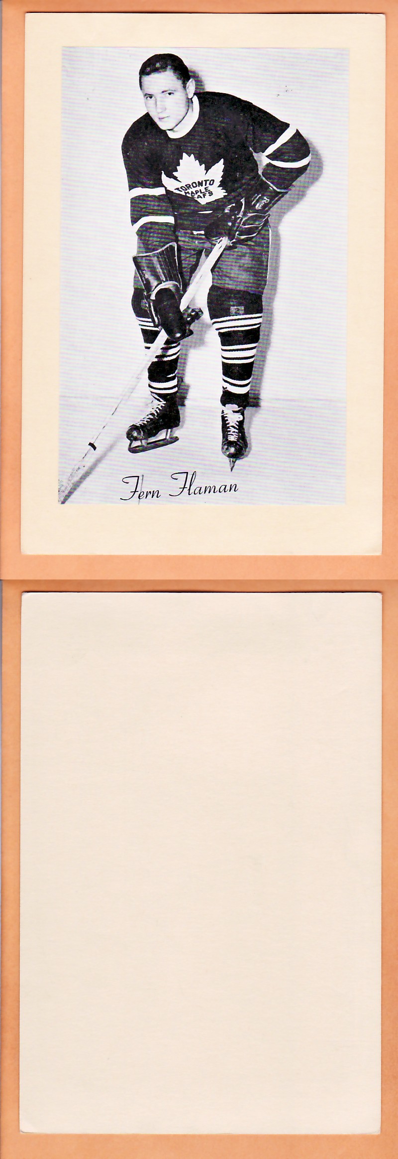 1945-64 BEEHIVE PHOTO GR.2 F.FLAMAN photo 1945-64 BEEHIVE PHOTO GR.2 F.FLAMAN photo