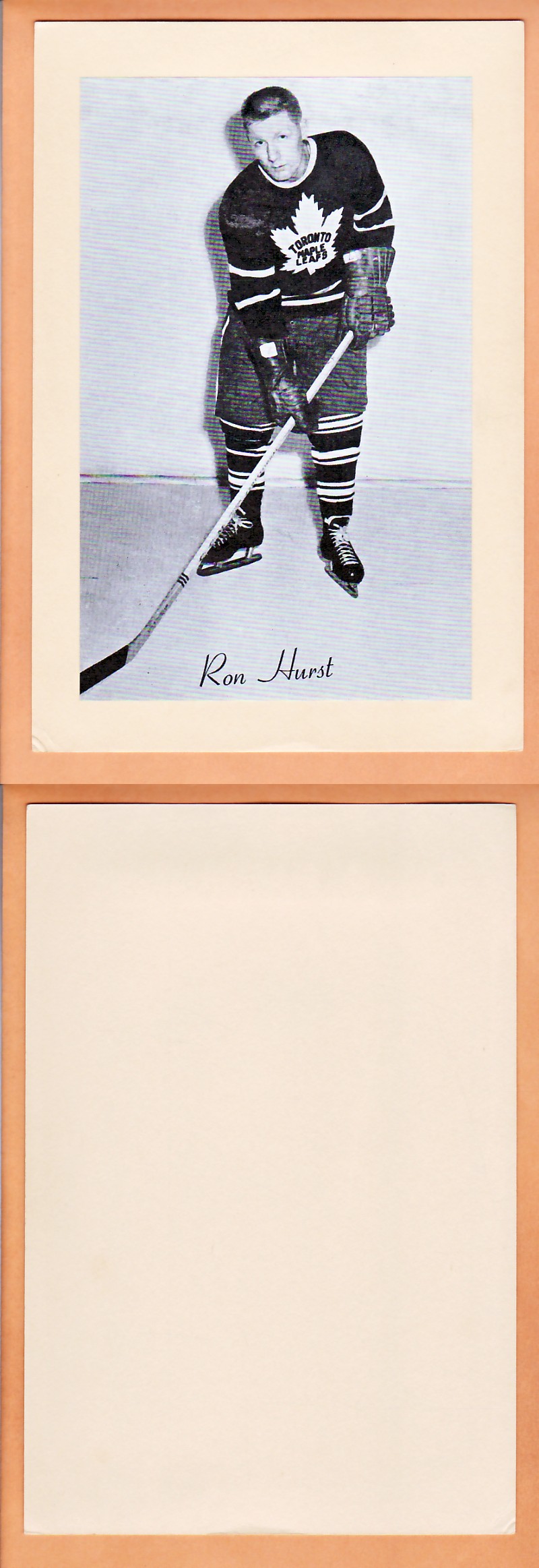 1945-64 BEEHIVE PHOTO GR.2 R.HURST SP photo 1945-64 BEEHIVE PHOTO GR.2 R.HURST SP photo