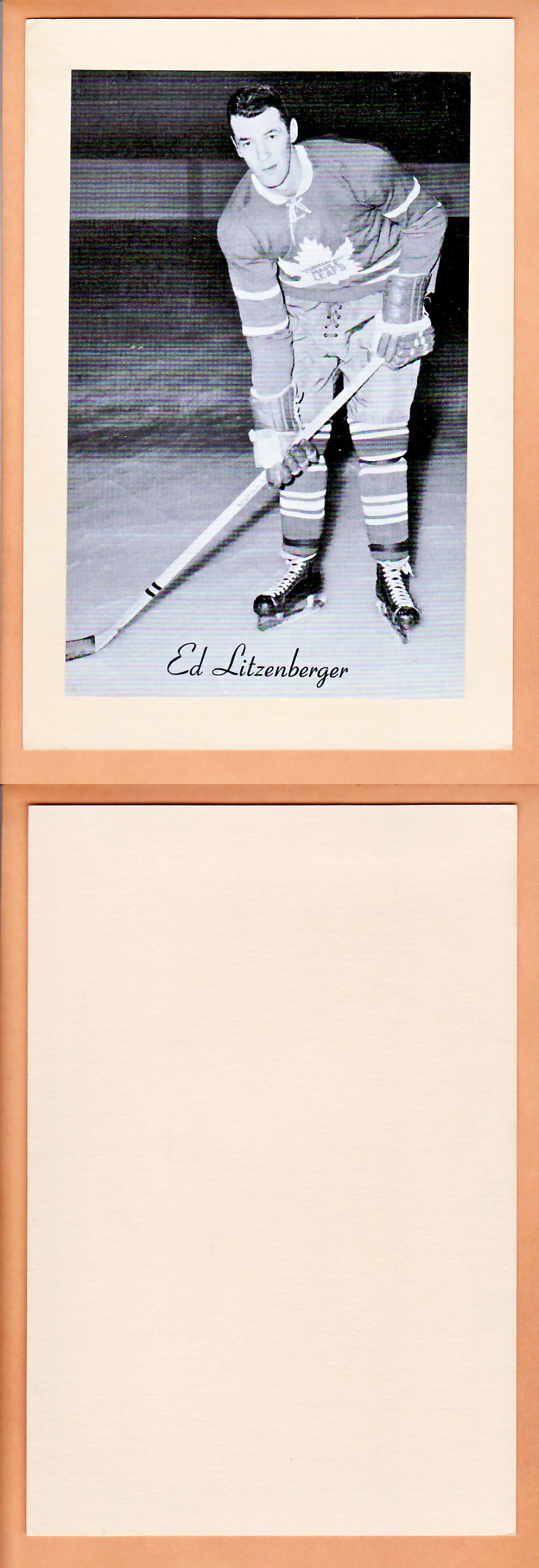 1945-64 BEEHIVE PHOTO GR.2 E.LITZENBERGER photo 1945-64 BEEHIVE PHOTO GR.2 E.LITZENBERGER photo