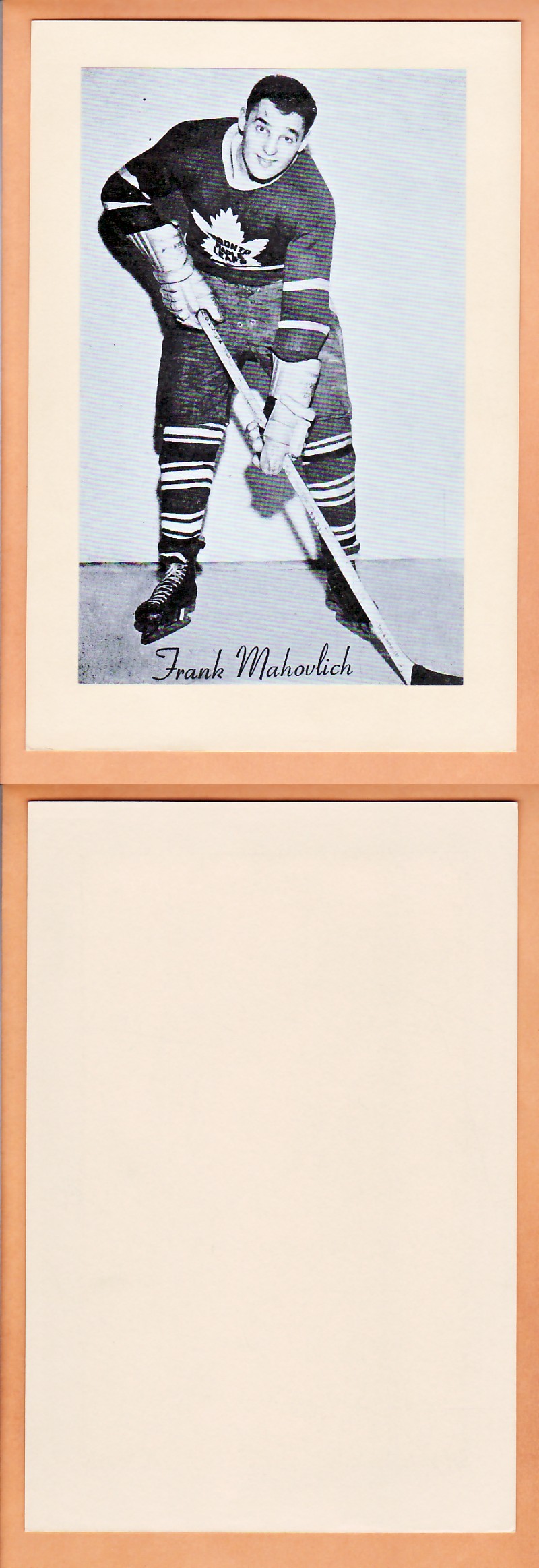 1945-64 BEEHIVE PHOTO GR.2 F.MAHOVLICH photo 1945-64 BEEHIVE PHOTO GR.2 F.MAHOVLICH photo