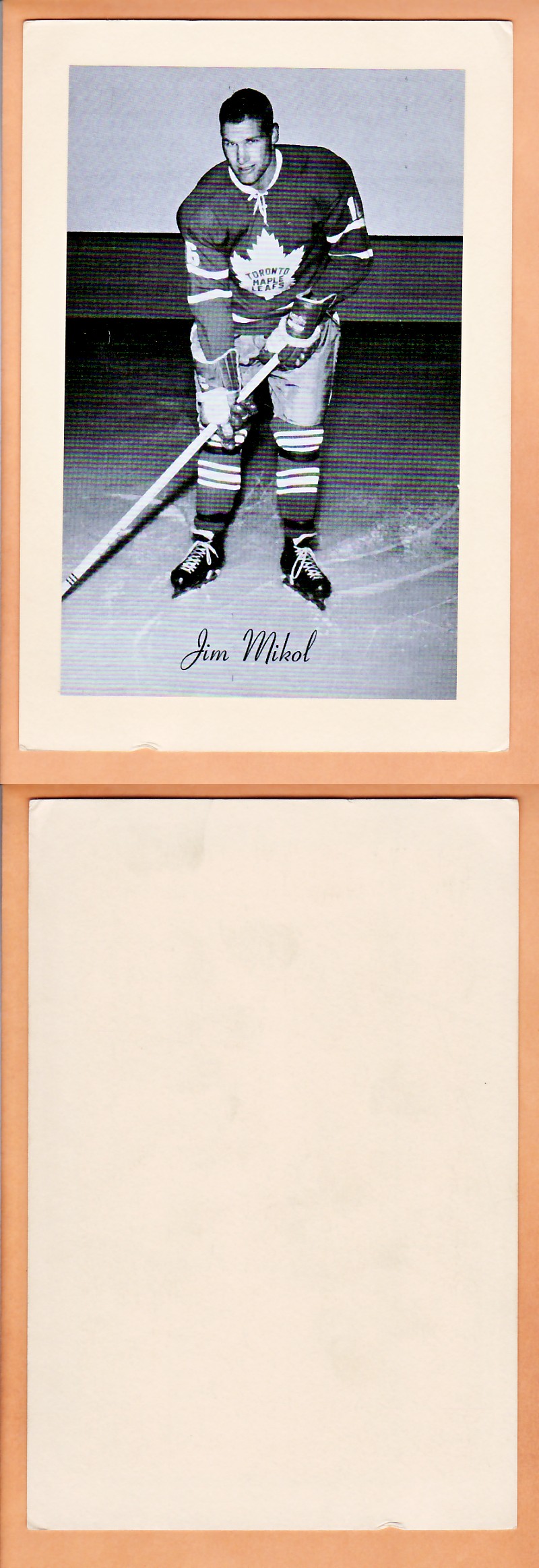 1945-64 BEEHIVE PHOTO GR.2 J.MIKOL photo 1945-64 BEEHIVE PHOTO GR.2 J.MIKOL photo