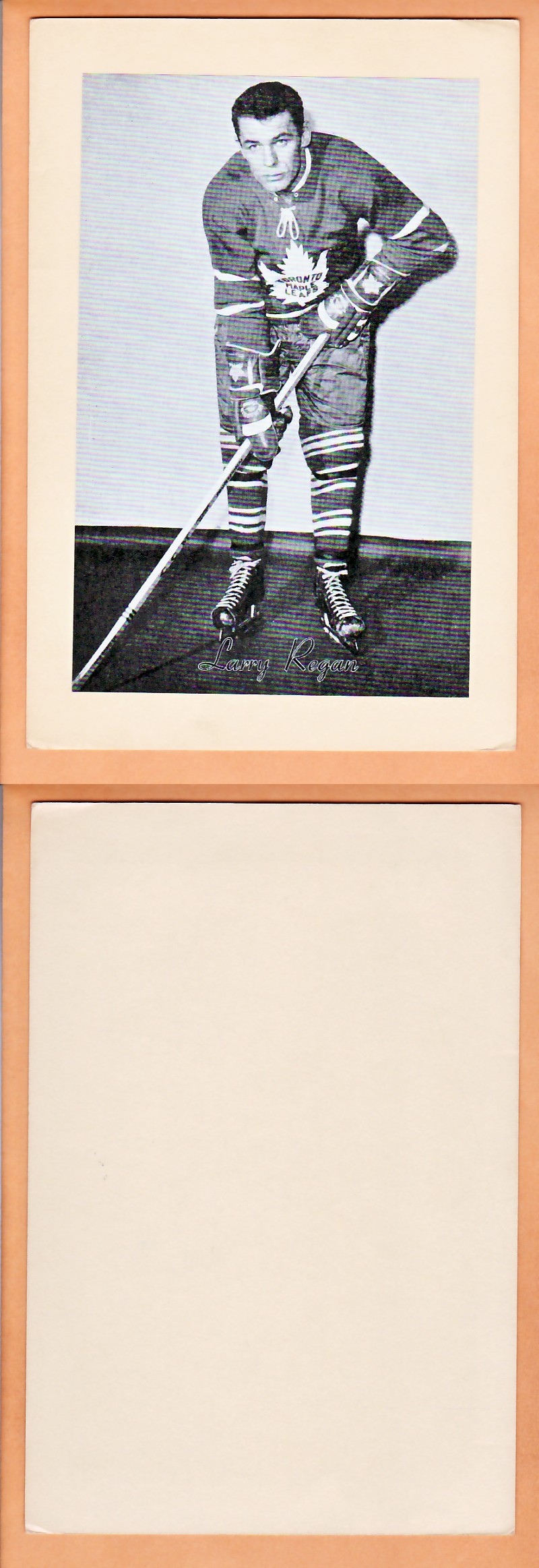 1945-64 BEEHIVE PHOTO GR.2 L.REGAN photo 1945-64 BEEHIVE PHOTO GR.2 L.REGAN photo