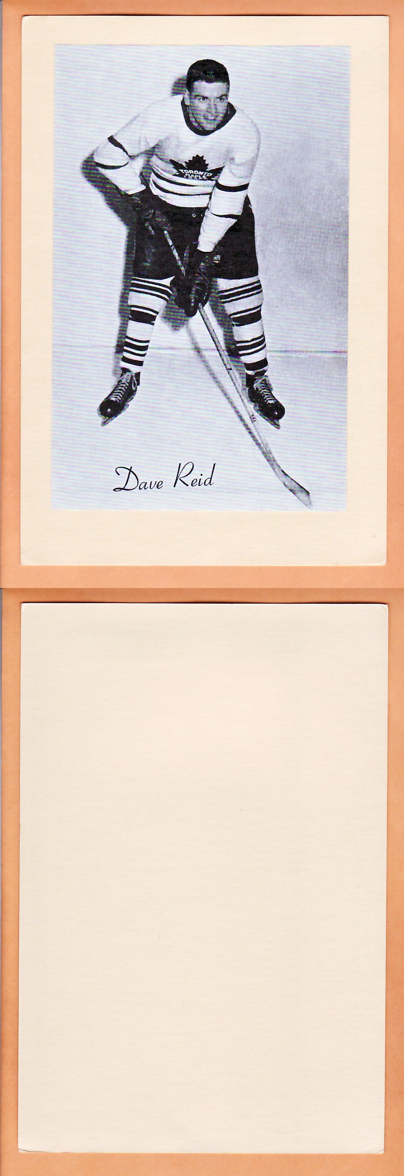 1945-64 BEEHIVE PHOTO GR.2 D.REID *SP* photo 1945-64 BEEHIVE PHOTO GR.2 D.REID *SP* photo